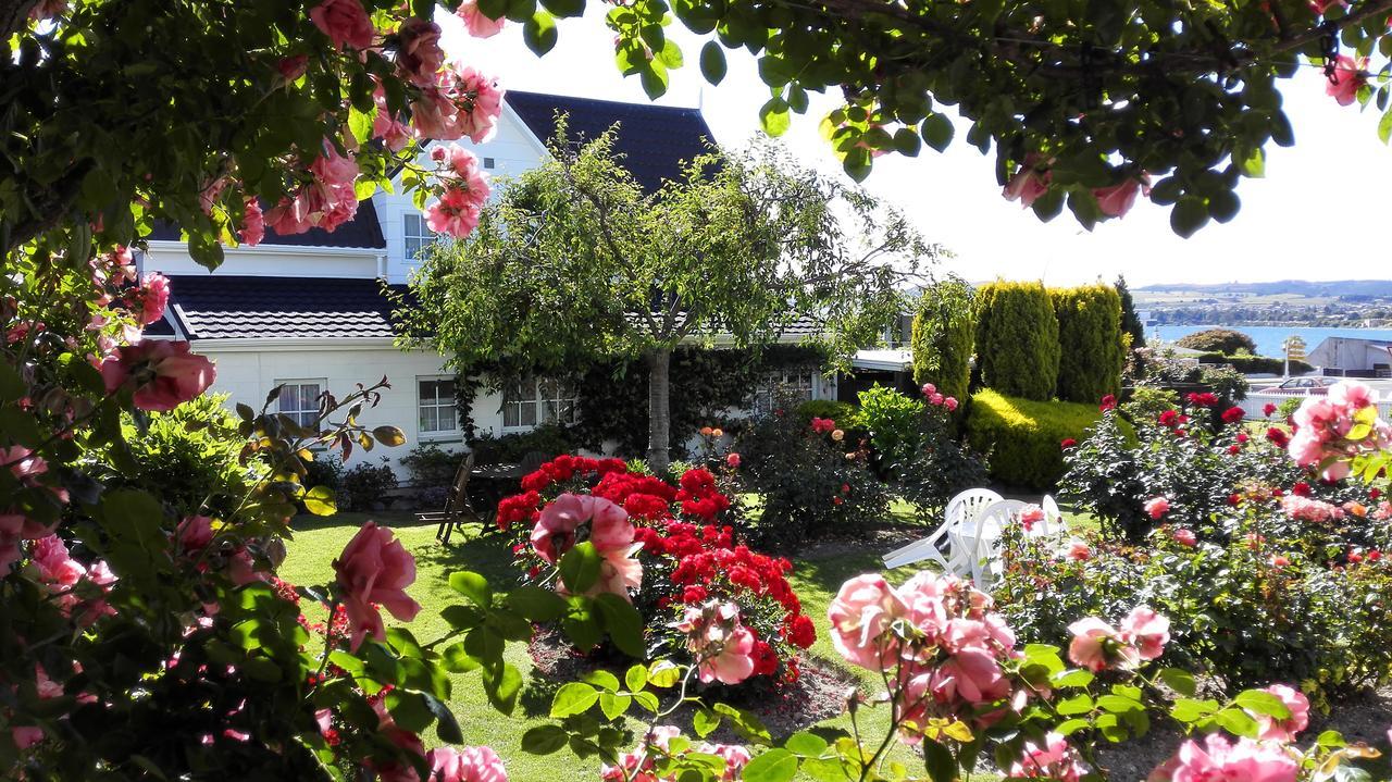 Phoenix Thermal Resort - Taupo Exterior photo